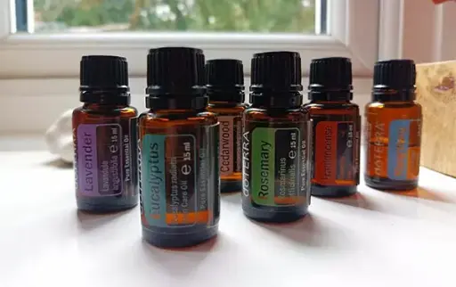 Wellness Workshops